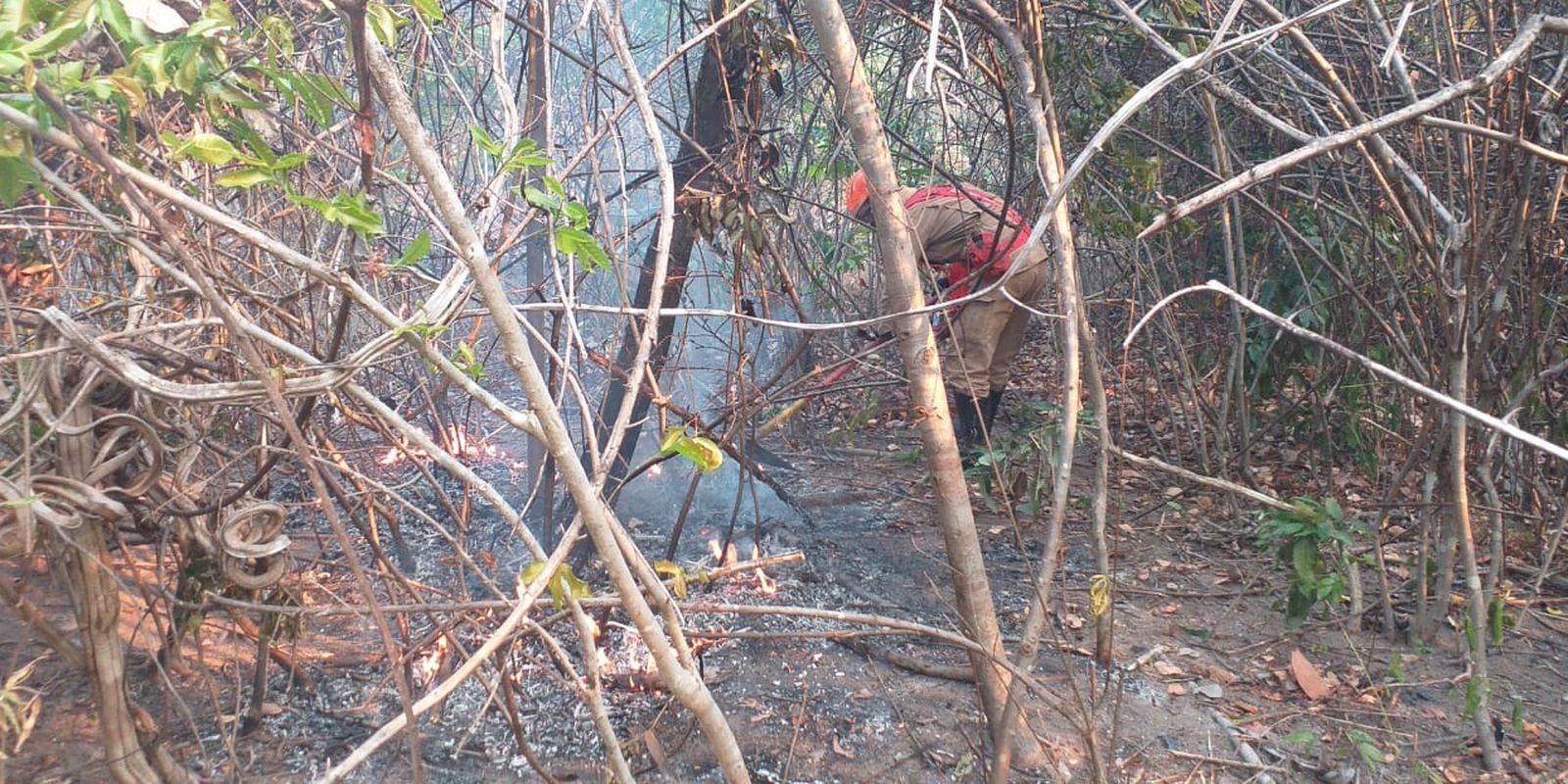 Incêndio na Chapada dos Veadeiros ainda não foi controlado