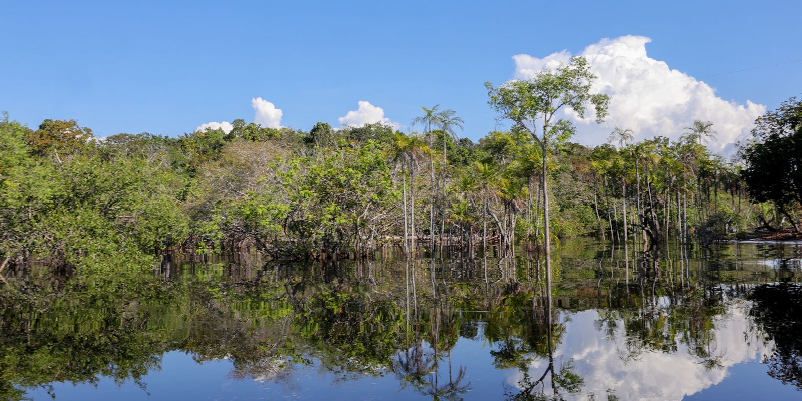 Rio Negro pode passar por pior seca da história ainda esta semana