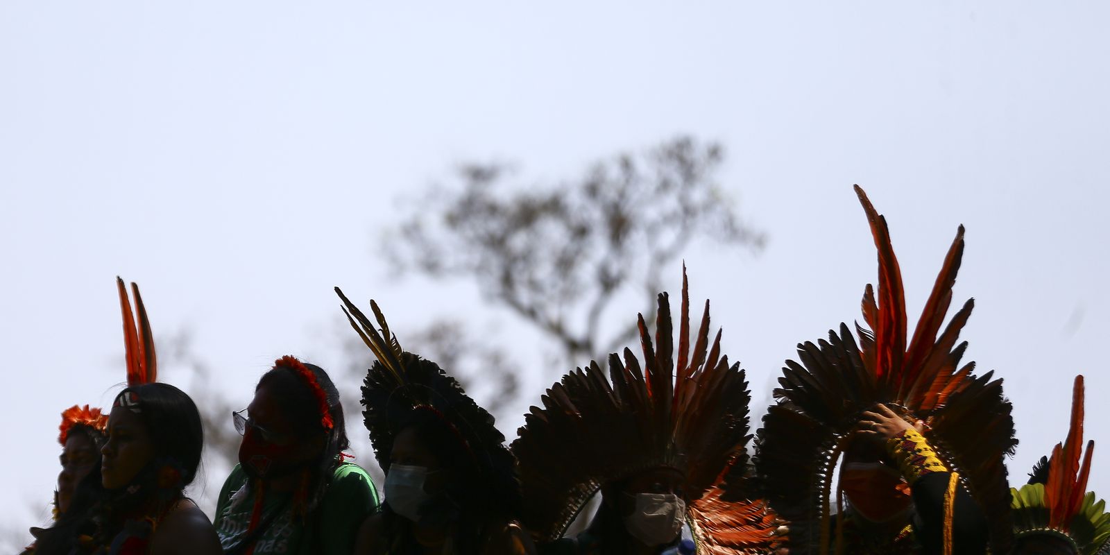 Ciência precisa dialogar com ecologia indígena, dizem pesquisadores