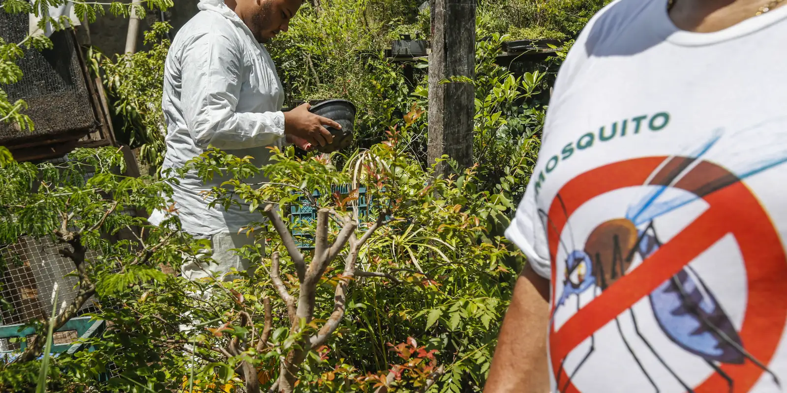 Dia D contra dengue promove ações de conscientização em todo o Brasil