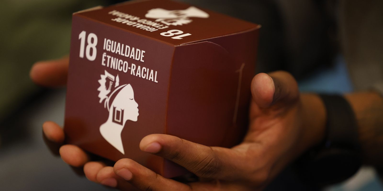 Ipea promove debate sobre ODS 18 e futuro racialmente justo