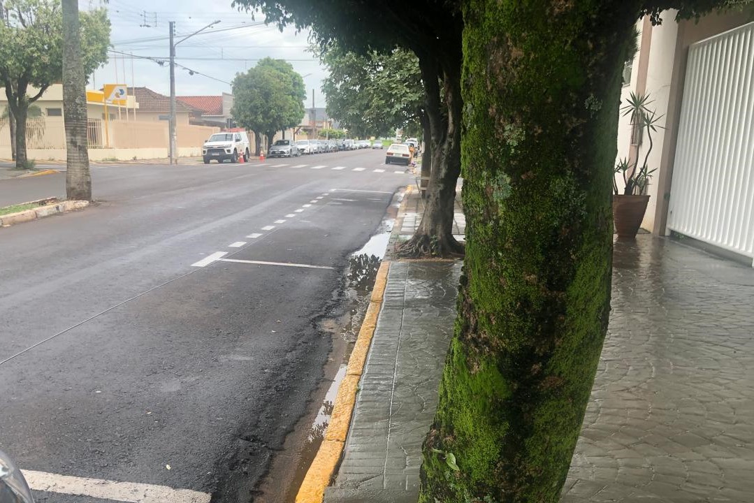 Chuvas esparsas derramaram 21,2mm de água no domingo, dia 8 de dezembro