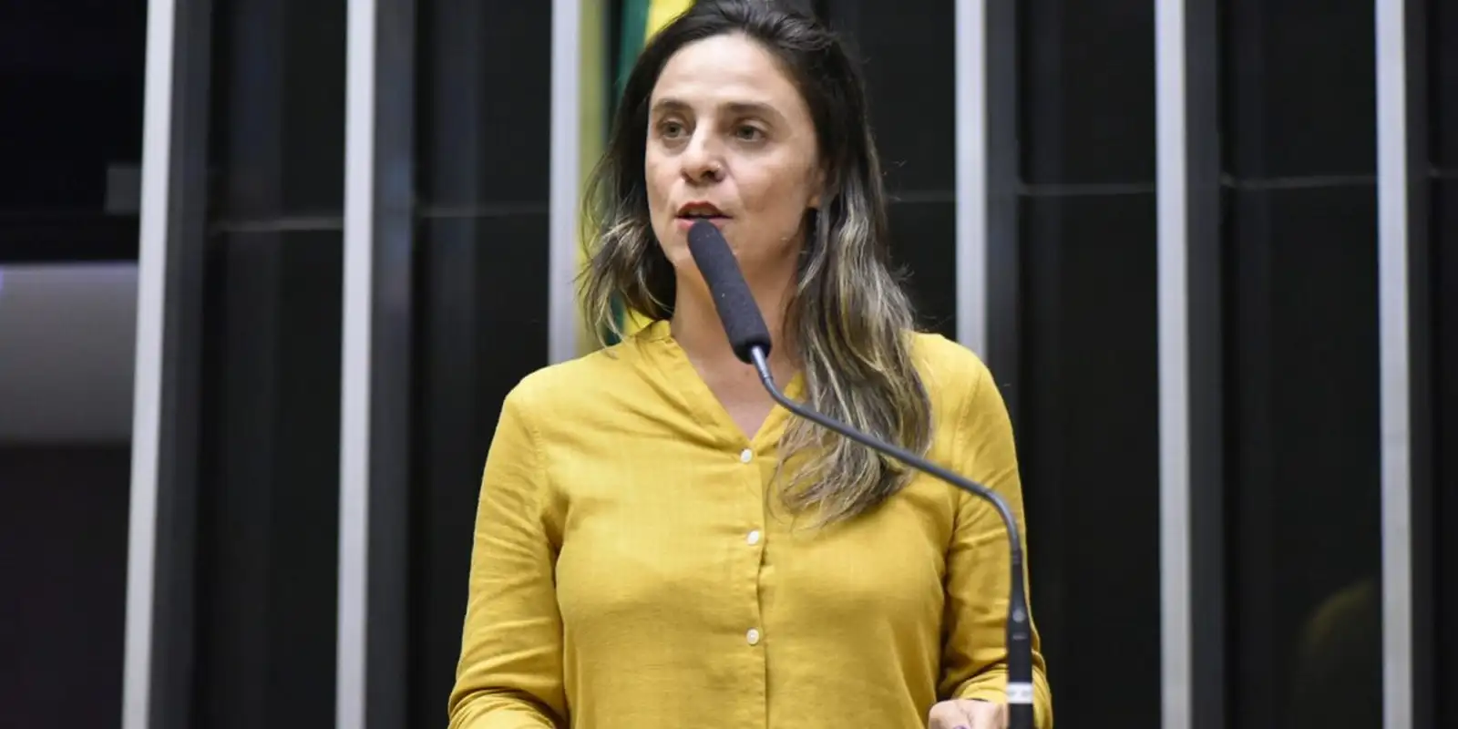 Deputada apresenta PL que pune militar que violou direitos na ditadura