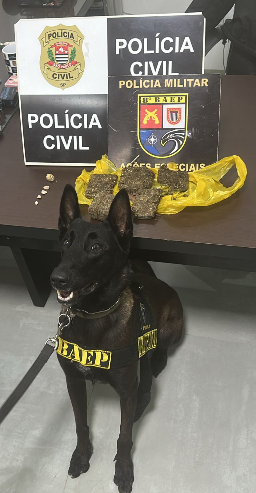 Polícia de Pirapó tira de circulação dois supeitos por tráfico de drogas
