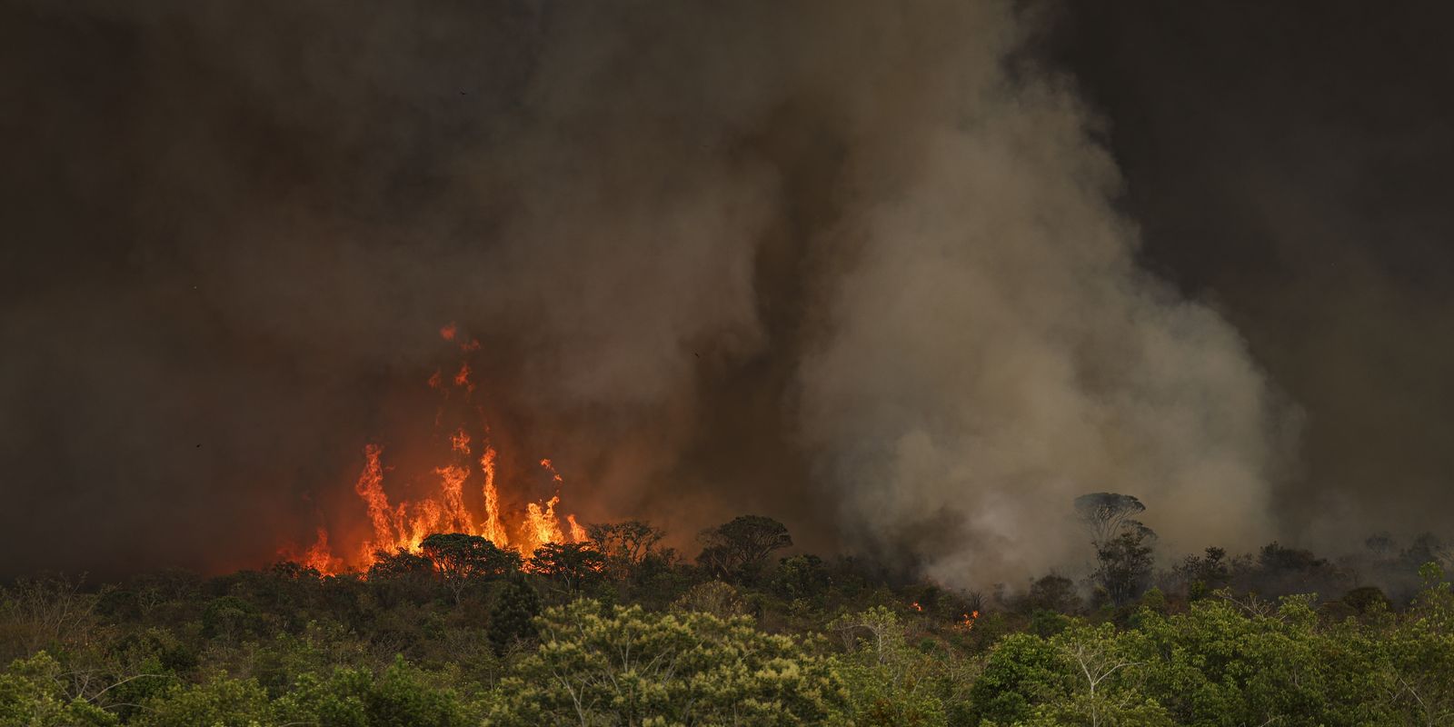 Queimadas fazem desmatamento crescer 92% na Amazônia
