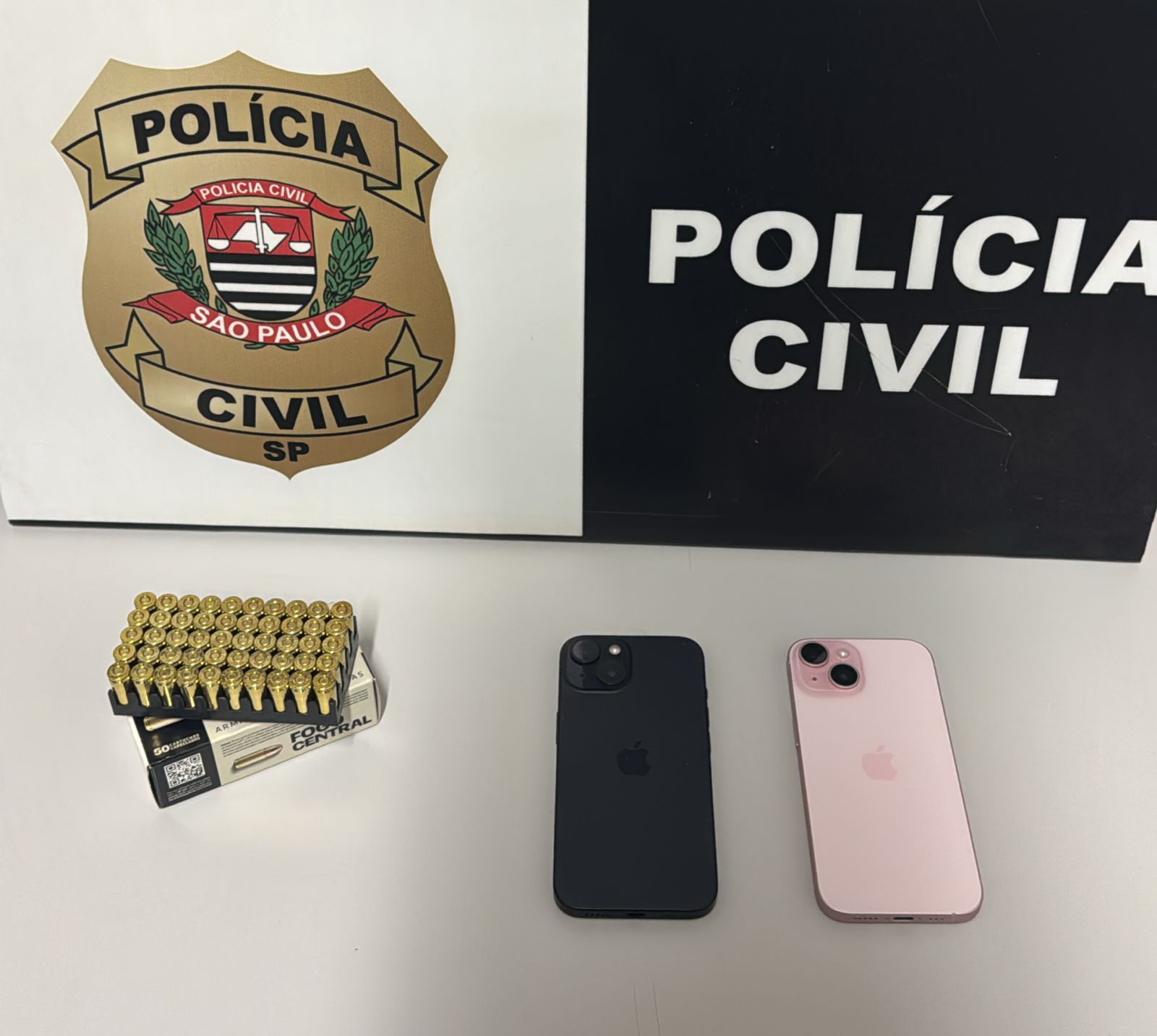 Polícia Civil de Iepê apreende munições com CAC suspeito por furtar madeiras