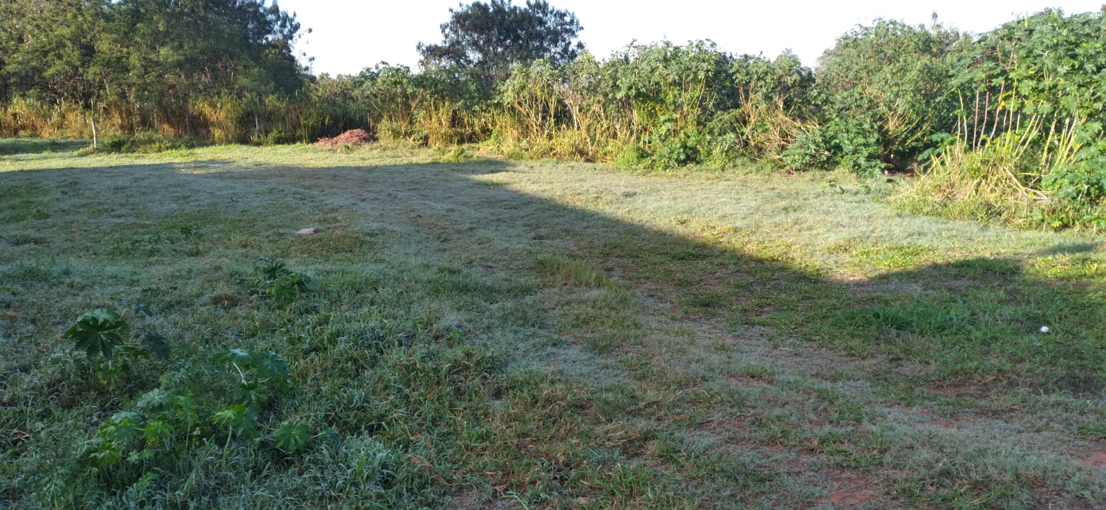 Rancharia registra 3,1ºC, hoje, 12 de maio, terça-feira, às 5h